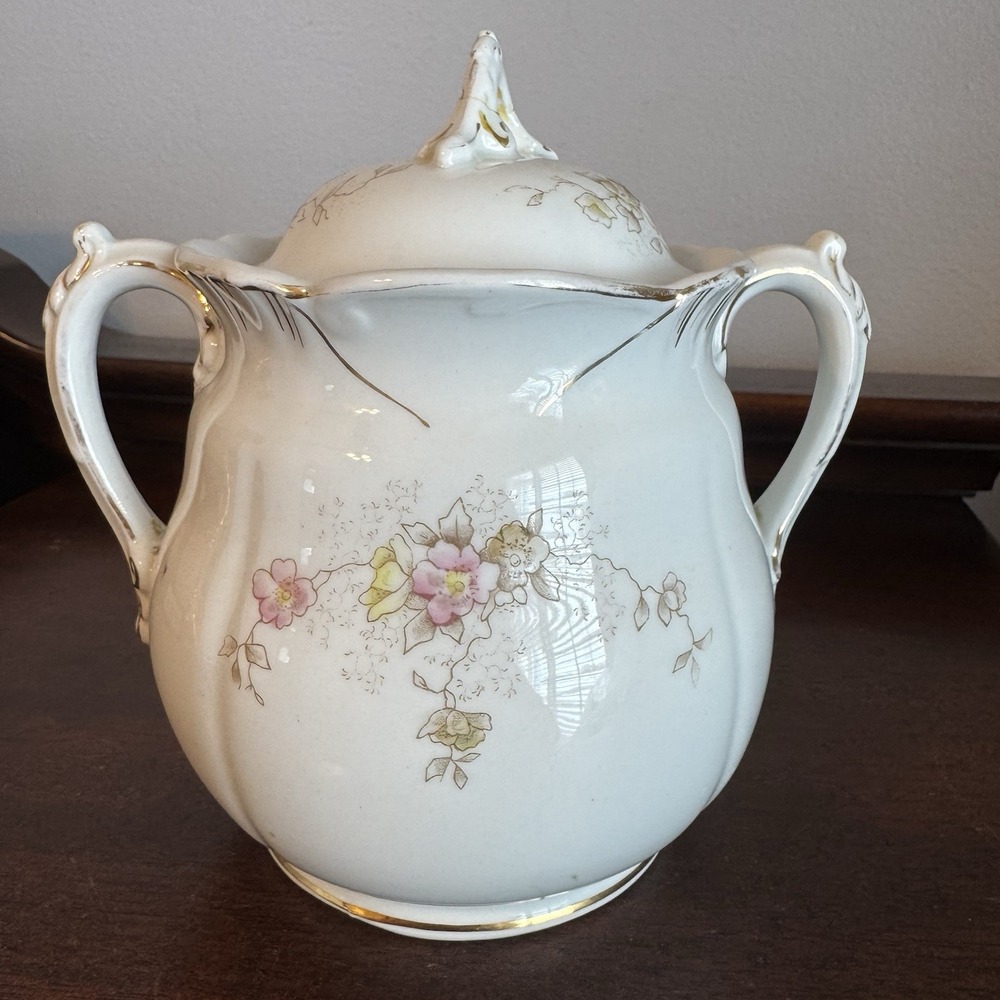 Antique John Maddock & Sons Royal Vitreous Floral Sugar bowl - Late 1800